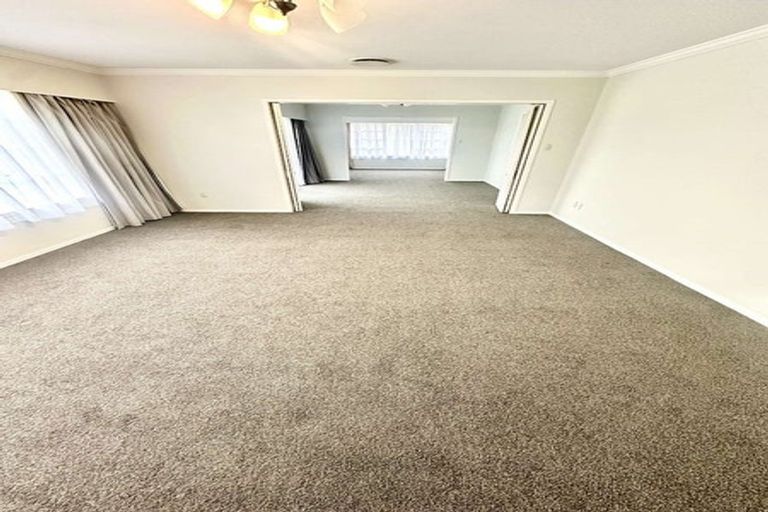 Photo of property in 9 Mcmeekan Avenue, Chartwell, Hamilton, 3210