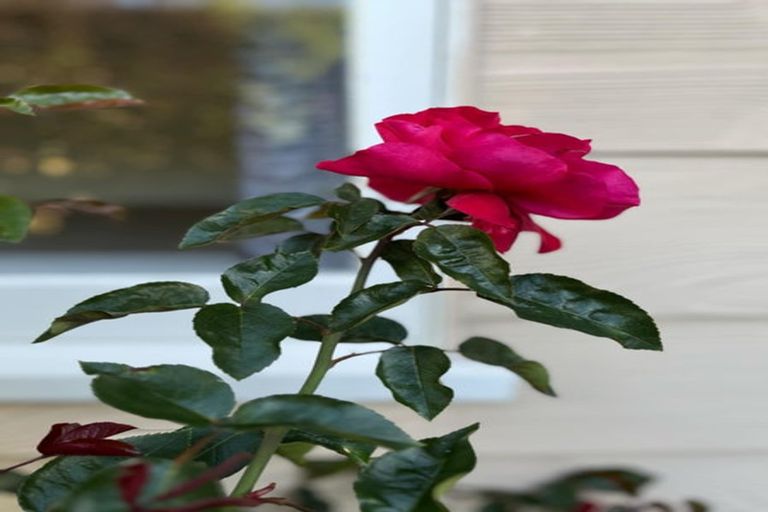 Photo of property in 19 Scott Street, Tuatapere, 9620