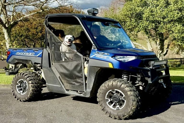 Photo of property in 132 Braemar Road, Manawahe, Whakatane, 3193