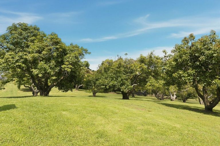 Photo of property in 248 Pyes Pa Road, Pyes Pa, 3173