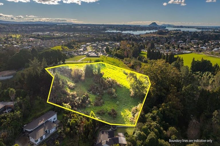 Photo of property in 99 Carmen Way, Ohauiti, 3112