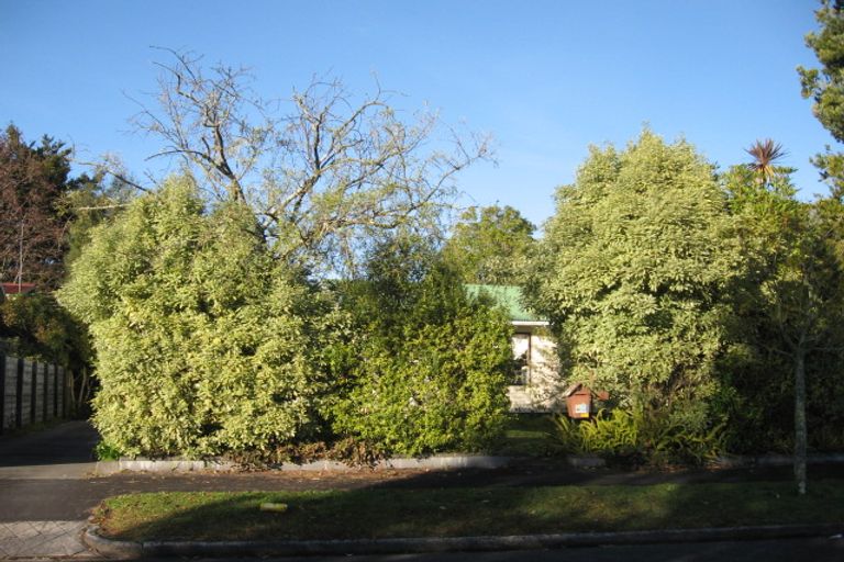 Photo of property in 6 Vine Street, Hillcrest, Hamilton, 3216