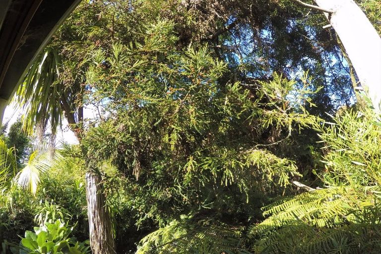 Photo of property in 1/667 East Coast Road, Browns Bay, Auckland, 0630