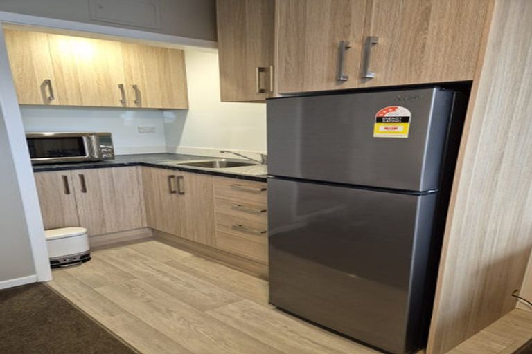 Photo of property in Avon Flats, 7/217 The Terrace, Wellington Central, Wellington, 6011