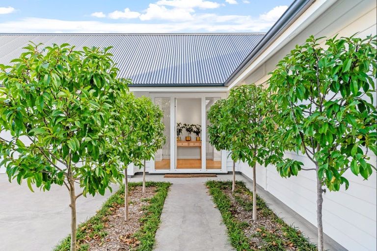 Photo of property in 12 Sandpiper Avenue, Point Wells, 0986