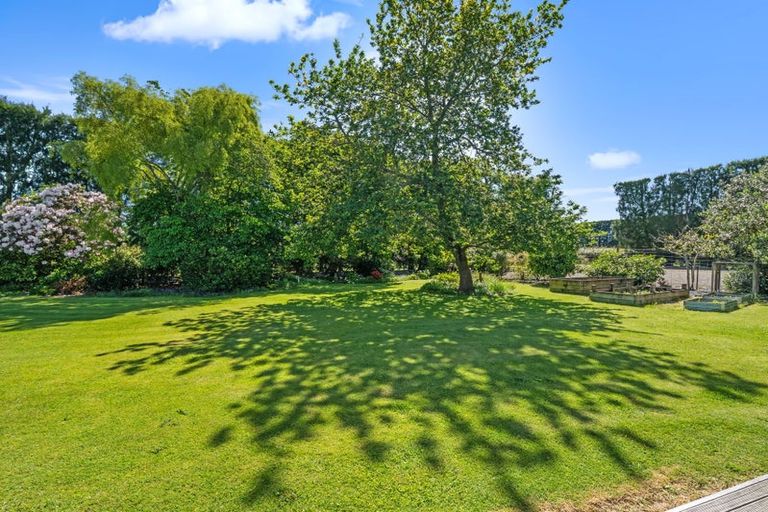 Photo of property in 471 Western Drain Road, Edgecumbe, Whakatane, 3192