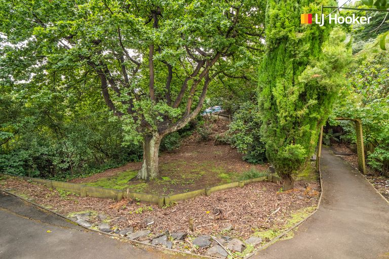 Photo of property in 58 Chambers Street, North East Valley, Dunedin, 9010