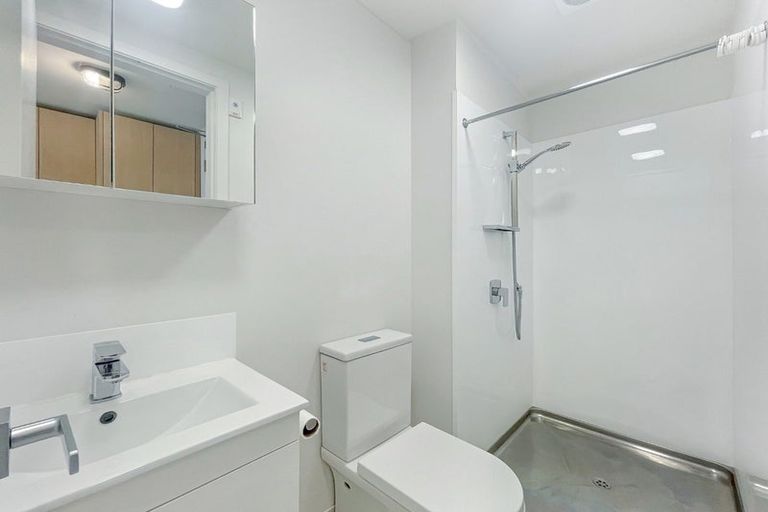 Photo of property in Vedado Apartments, 208/41 Hopper Street, Mount Cook, Wellington, 6011