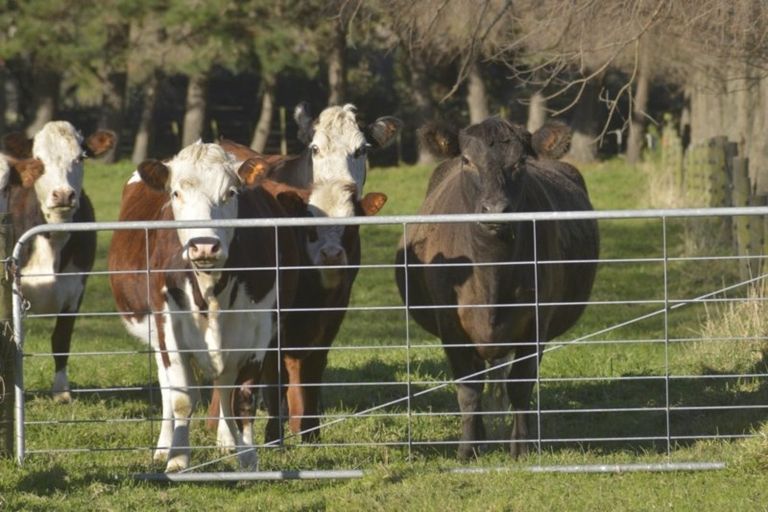 Photo of property in State Highway 1, Otaki, 5512