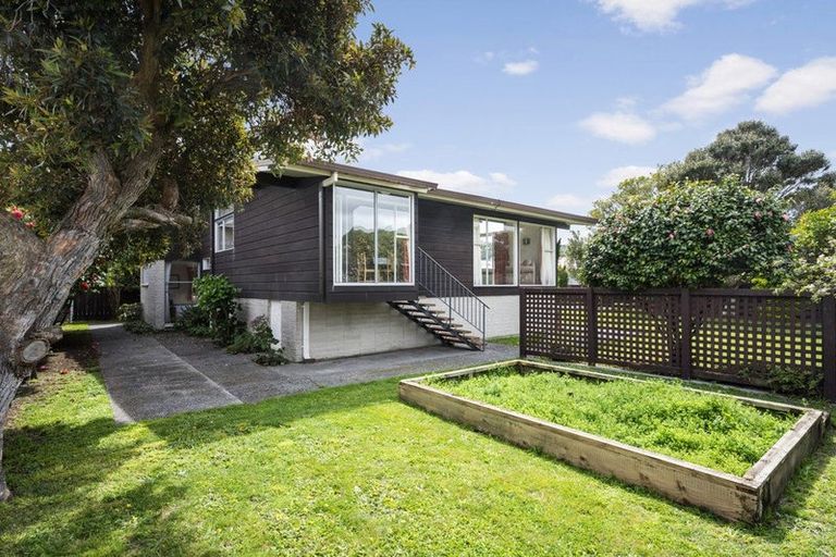 Photo of property in 46a Rex Street, Miramar, Wellington, 6022