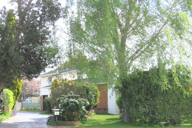 Photo of property in 8 Weka Street, Matamata, 3400