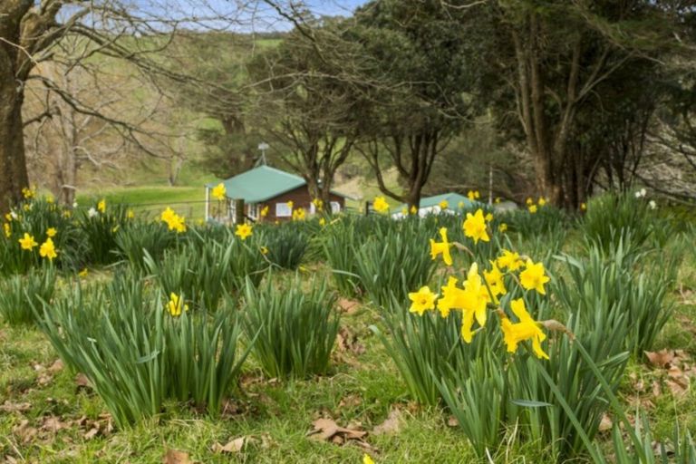 Photo of property in 66 Stewart Street, Opotiki, 3122