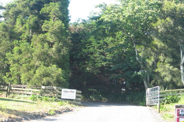 Photo of property in 252 Whakamarama Road, Whakamarama, Tauranga, 3179