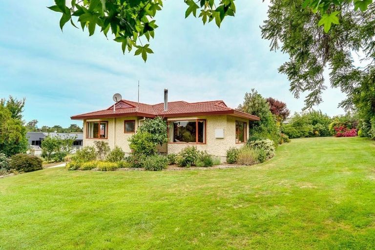 Photo of property in 41 Domain Road, Waipawa, 4210