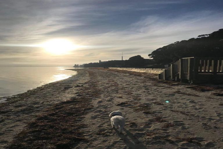 Photo of property in 19a Leaming Place, Clarks Beach, 2122