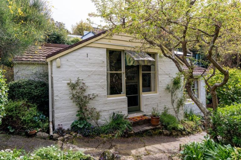 Photo of property in 17 Littlebourne Road, Roslyn, Dunedin, 9010