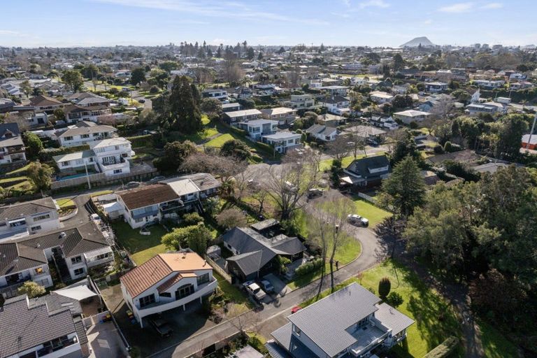 Photo of property in 41 Scantlebury Street, Tauranga South, Tauranga, 3112