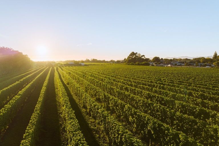 Photo of property in 5 Brook Street, Renwick, 7204