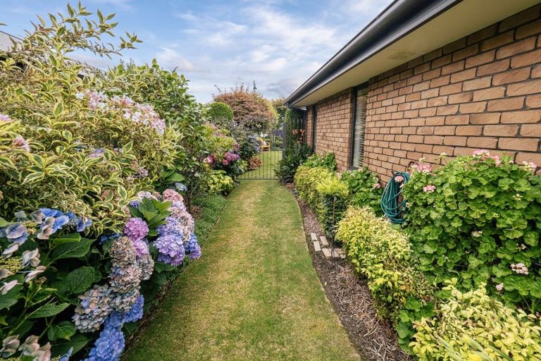 Photo of property in 11 Primrose Place, Allenton, Ashburton, 7700