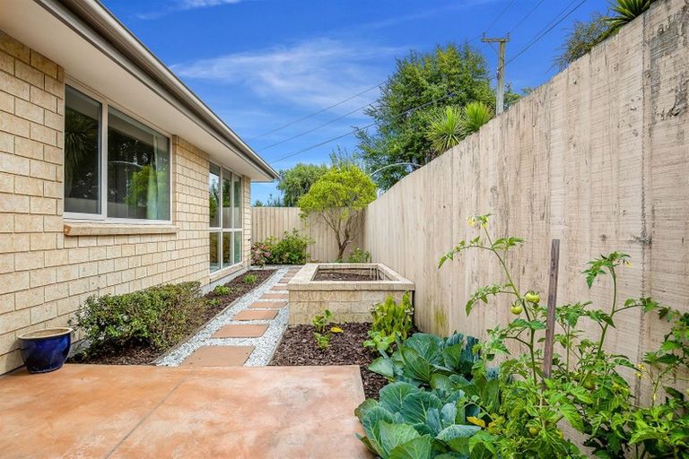 Photo of property in 61b Frankleigh Street, Somerfield, Christchurch, 8024