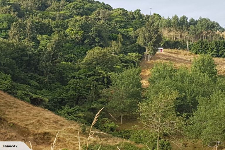 Photo of property in 225 Ngatitangata Road, Waihi, 3681