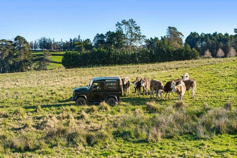 Photo of property in 197 Charles Road, Karaka, Papakura, 2580