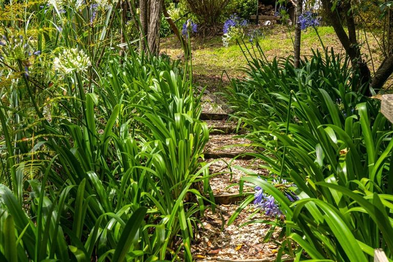 Photo of property in 41-43 Dakota Avenue, Beach Haven, Auckland, 0626