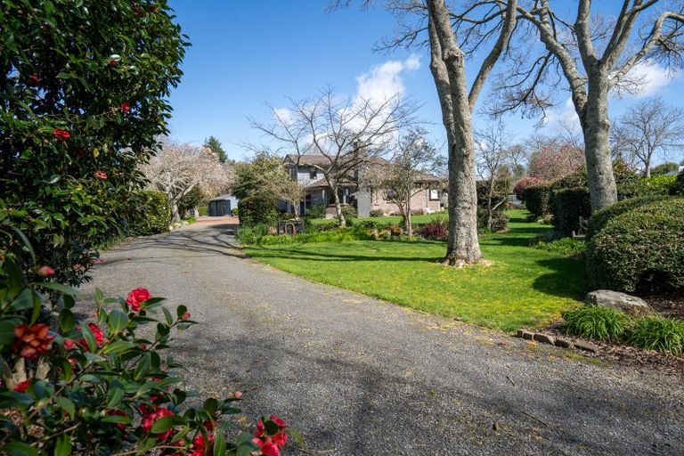 Photo of property in 347 Racecourse Road, Cambridge, 3493