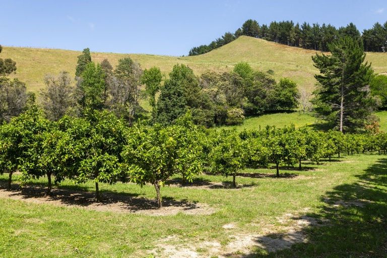 Photo of property in 98 Taurau Valley Road, Manutuke, 4072