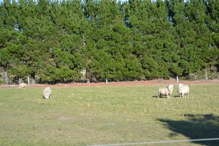 Photo of property in 1067 Two Chain Road, Swannanoa, Rangiora, 7475