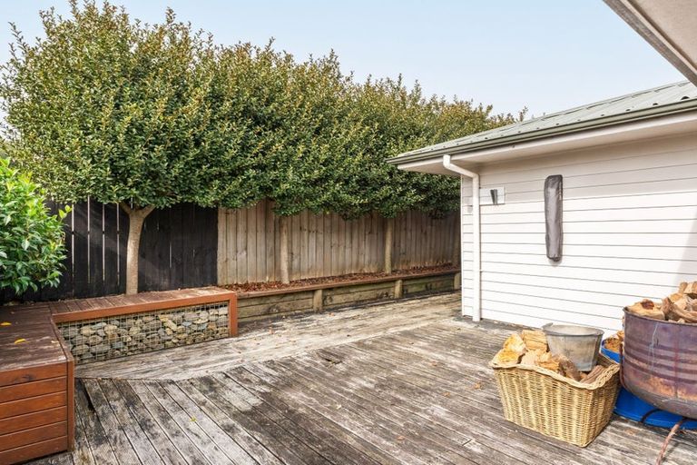 Photo of property in 291 Ormond Road, Mangapapa, Gisborne, 4010