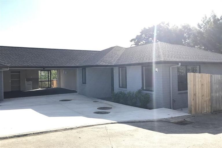 Photo of property in 46 Universal Drive, Henderson, Auckland, 0610