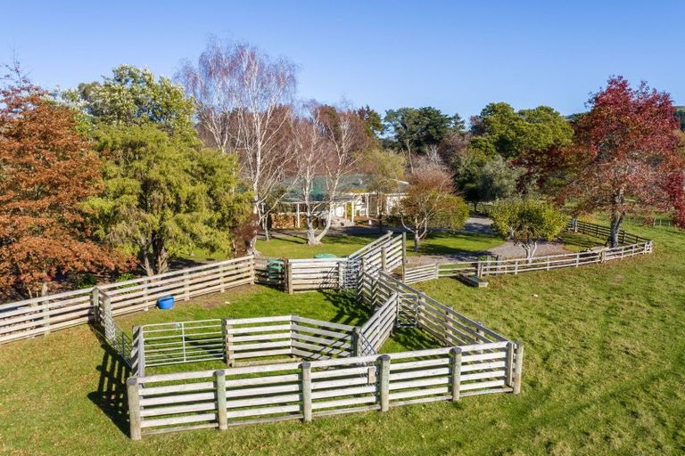 Photo of property in 1785 Martinborough Masterton Road, Longbush, Masterton, 5884