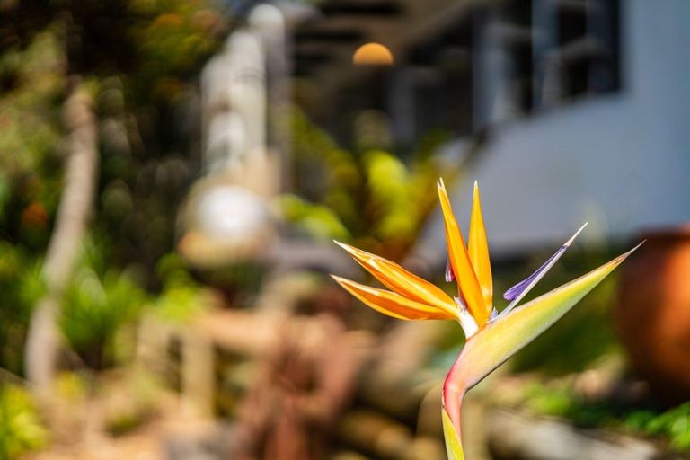 Photo of property in 12 Whangarei Heads Road, Onerahi, Whangarei, 0110