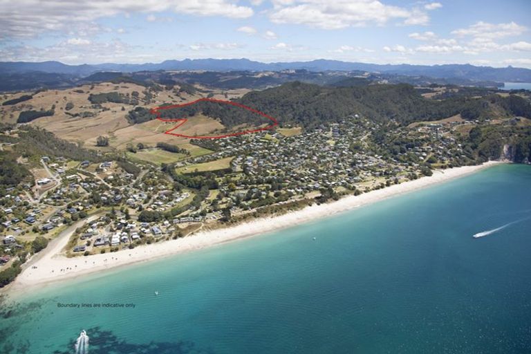 Photo of property in 94 Hahei Beach Road, Hahei, Whitianga, 3591