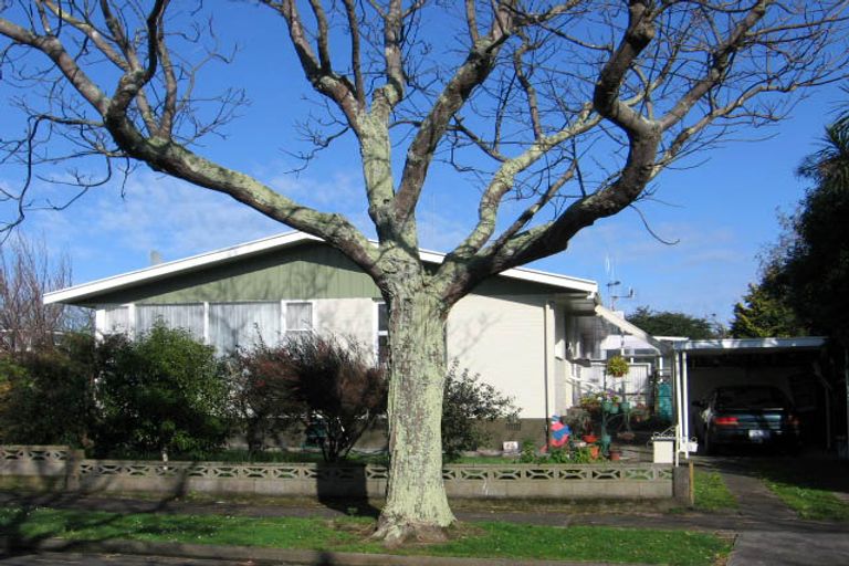 Photo of property in 1 Berkley Place, Awapuni, Palmerston North, 4412