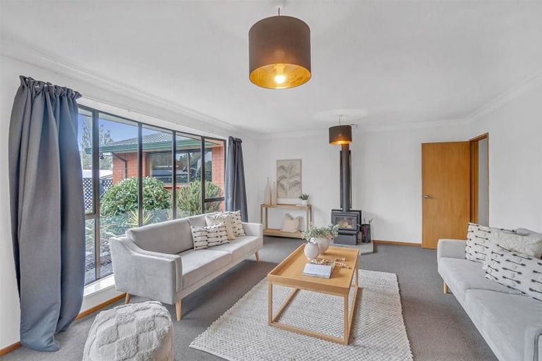 Photo of property in 12 Esher Place, Saint Martins, Christchurch, 8022