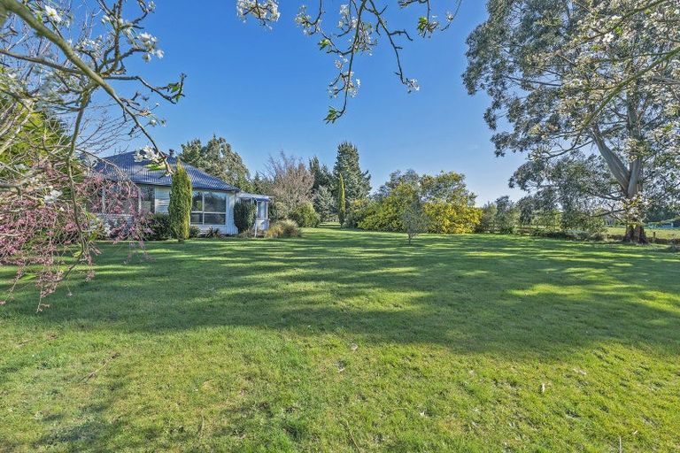 Photo of property in 201 Karanga Road, Dunsandel, Leeston, 7682