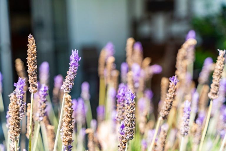 Photo of property in 102 Freyberg Road, Ruawai, 0530