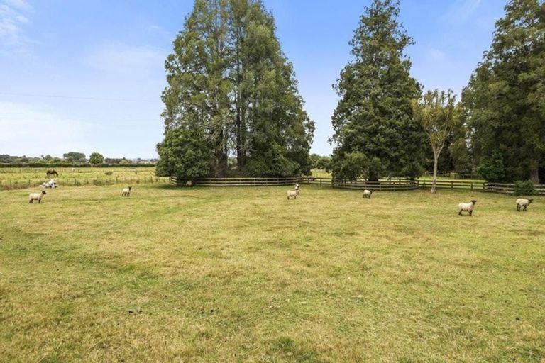 Photo of property in 43 Youngs Grove, Pukekohe, 2120