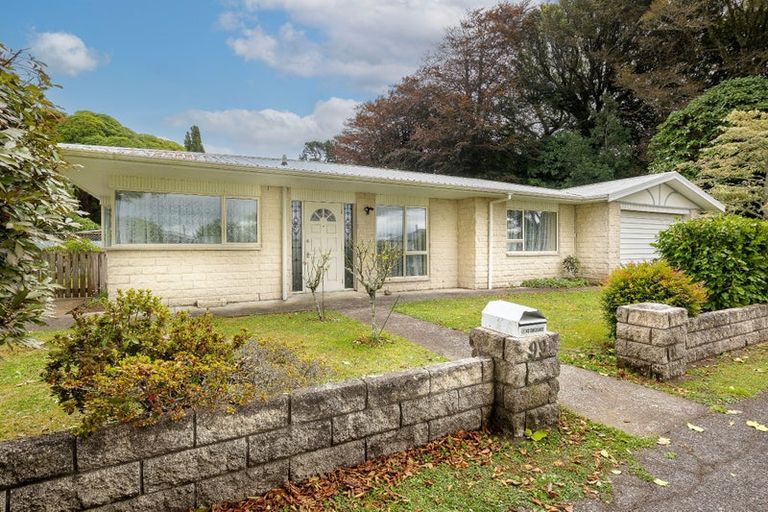 Photo of property in 99 Hamlet Street, Stratford, 4332