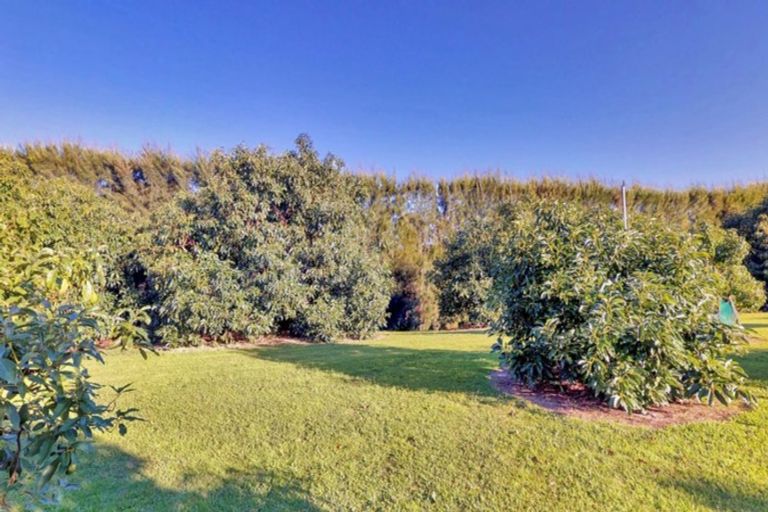 Photo of property in 11b Stokes Road, Tahawai, Katikati, 3170