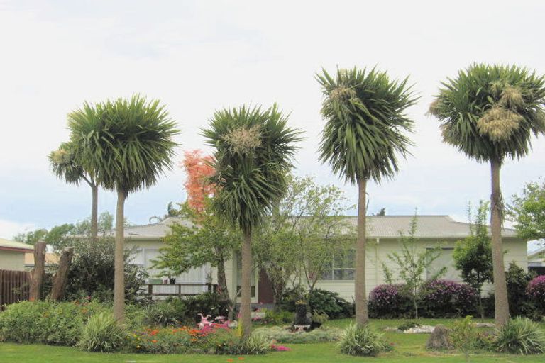 Photo of property in 36 Buchanan Street, Opotiki, 3122