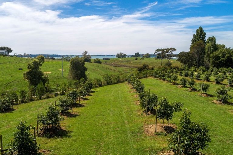 Photo of property in 196 Pahoia Road, Whakamarama, Tauranga, 3172