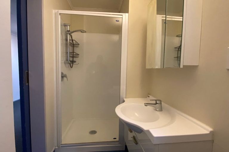 Photo of property in 223c The Terrace, Wellington Central, Wellington, 6011