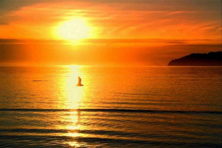 Photo of property in 8 Puka Place, Mahia, 4198