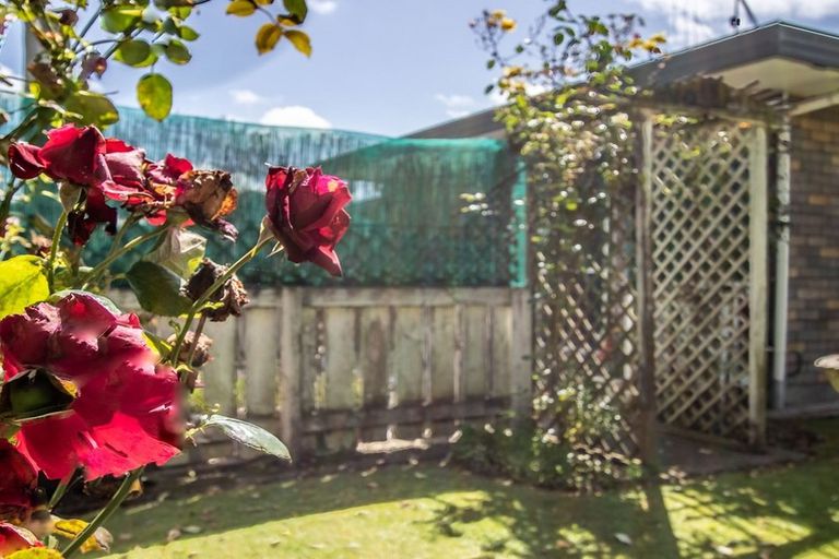 Photo of property in 16b Manchester Street, Levin, 5510