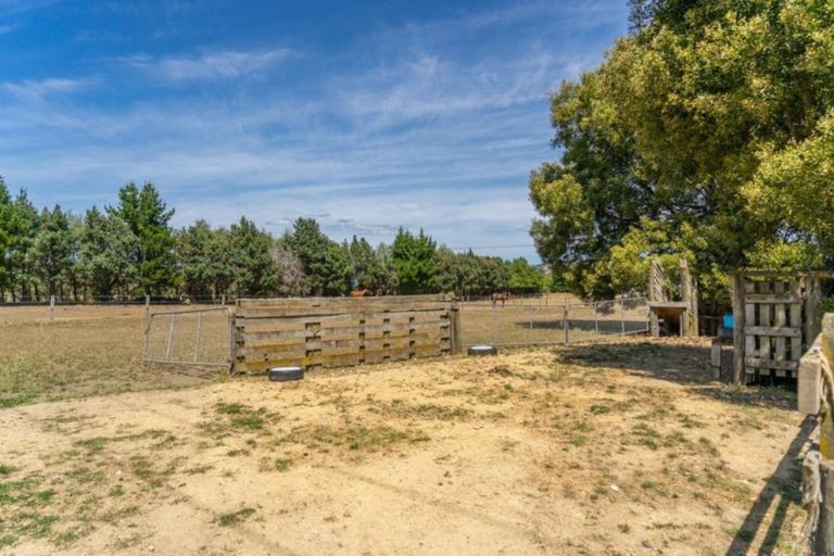 Photo of property in 439 Paierau Road, Opaki, Masterton, 5881