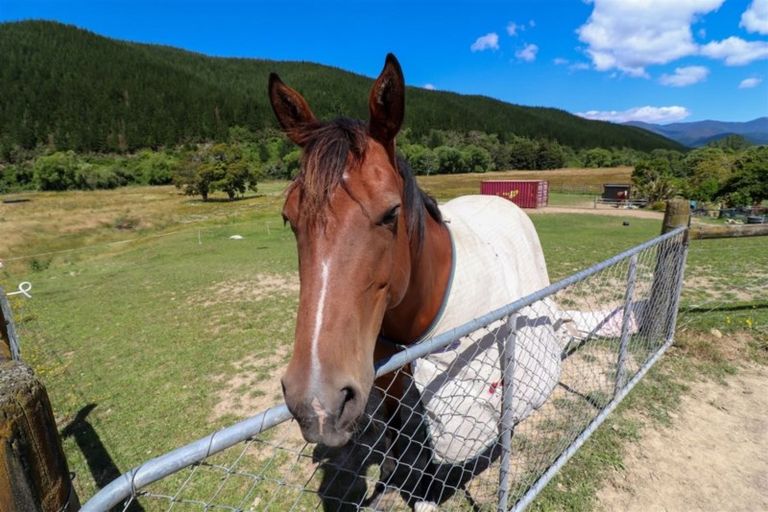 Photo of property in 69 Quail Valley Road, Belgrove, Wakefield, 7095