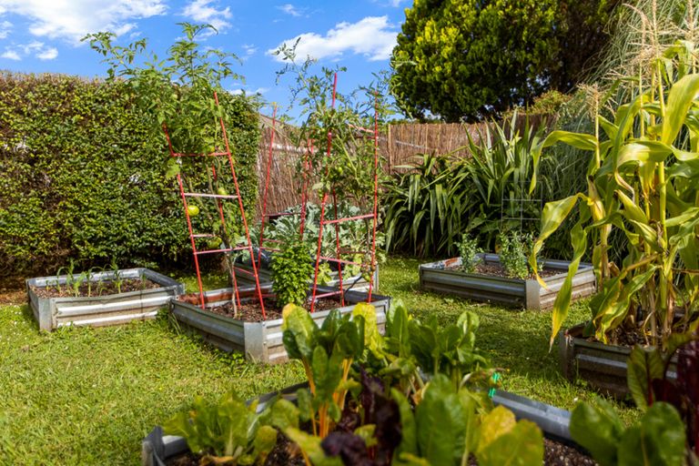 Photo of property in 1/15 Trojan Crescent, New Lynn, Auckland, 0600